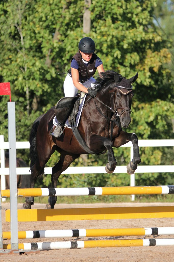 ROYAL WINDSOR HORSE SHOW